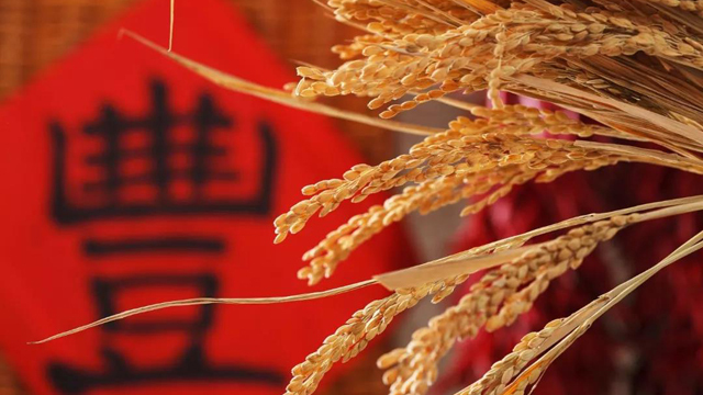今日处暑（图10）