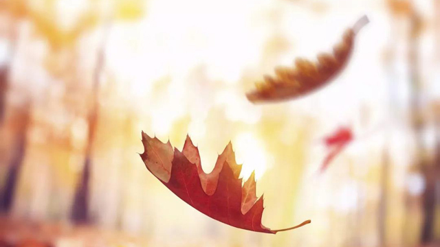 今日秋分(图5)