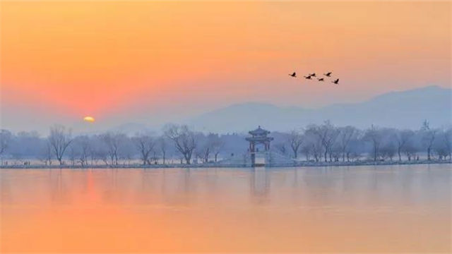 今日寒露（图4）